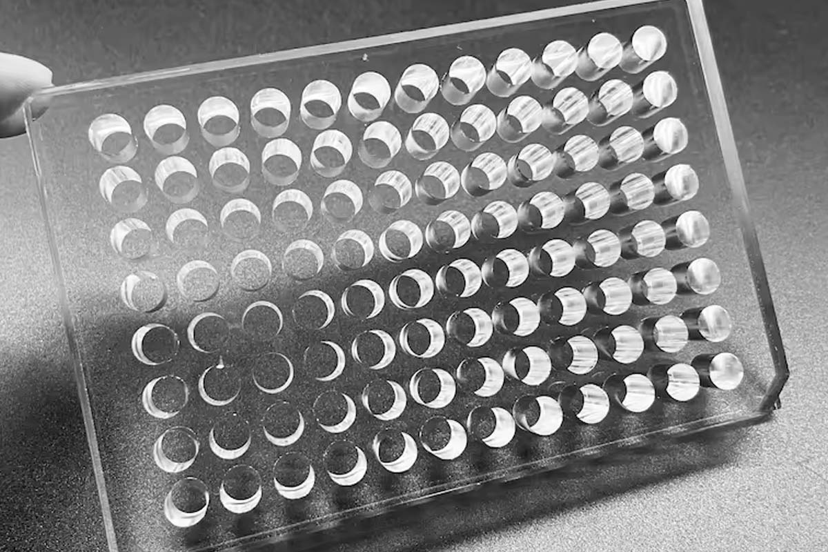 Custom Glass Multiwell Plates