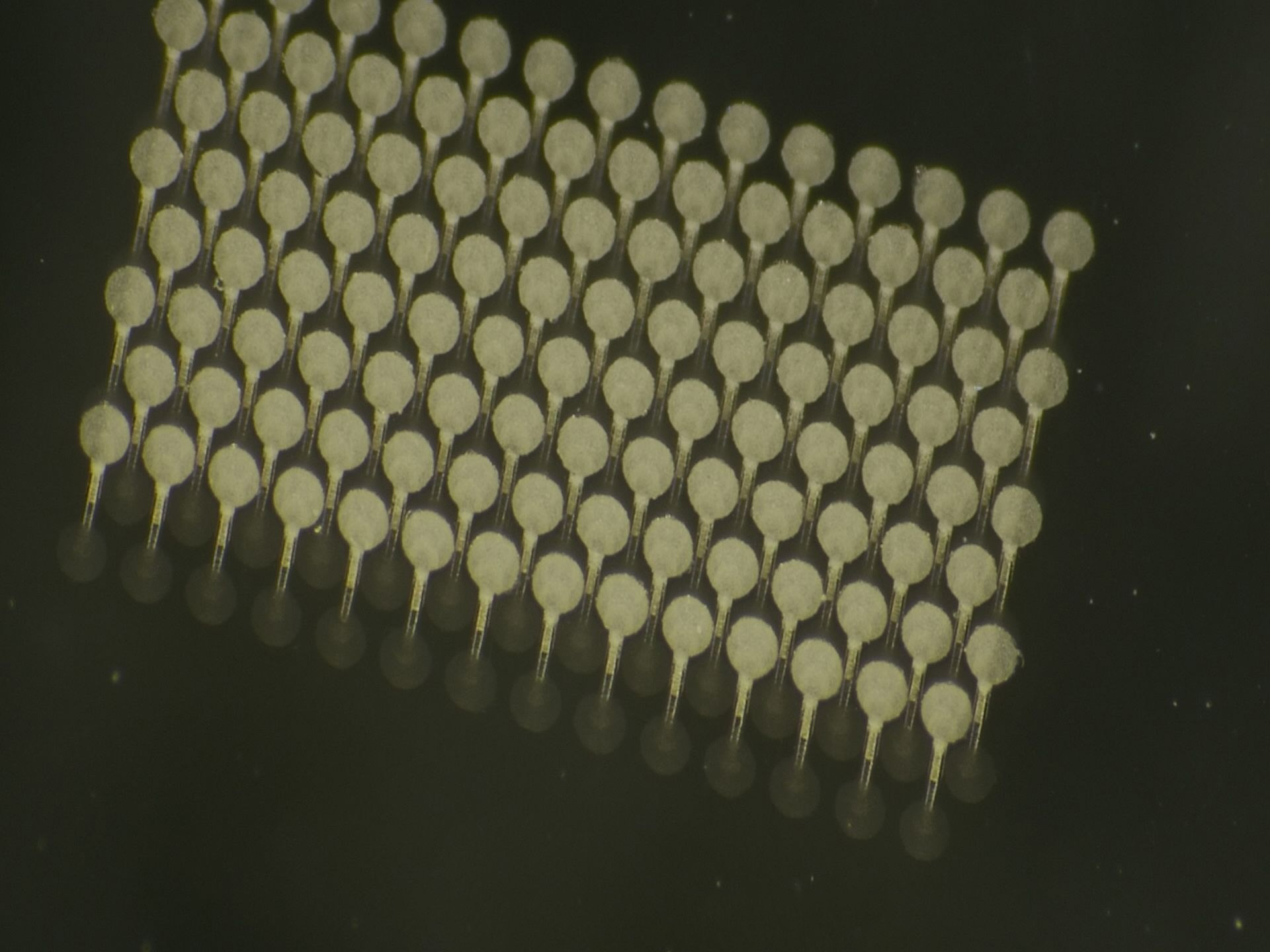 Precision Glass Micro-Drilling Services
