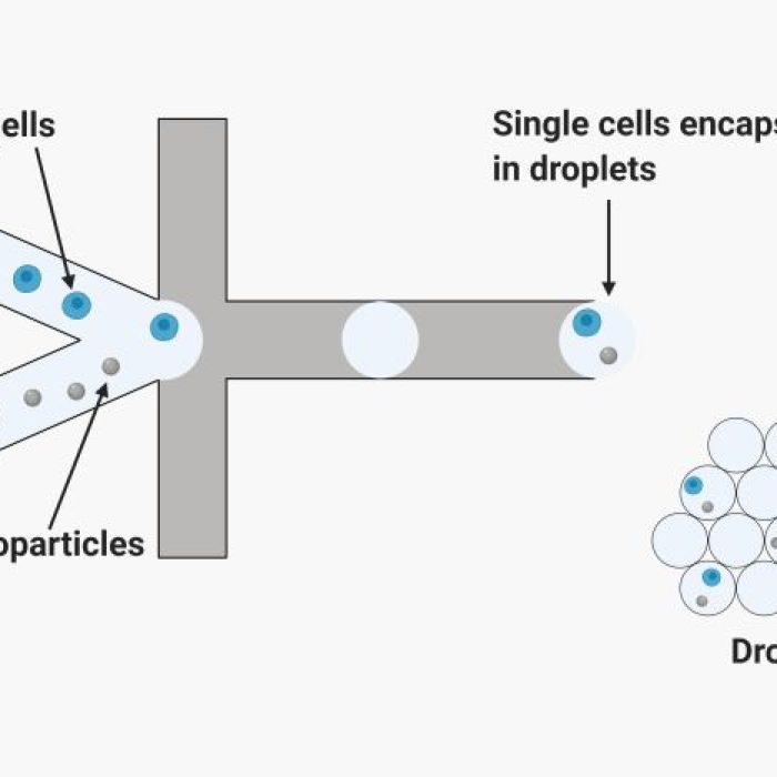 Custom Glass Microfluidic Chips & Devices