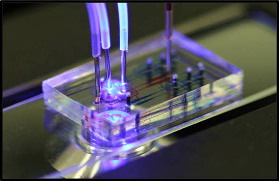 Custom Glass Microfluidic Chips & Devices