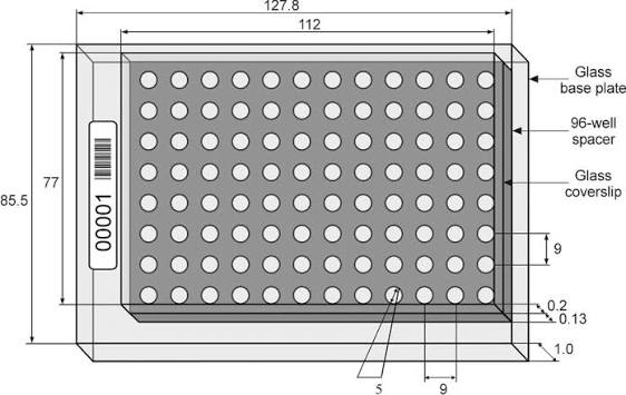 Custom Glass Multiwell Plates